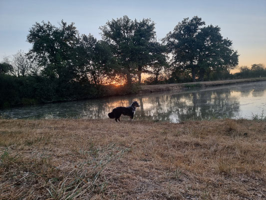 Sommer 2022 Frankreich