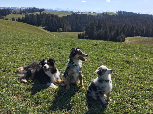 KISHA, EVITA, AJUMA (AVERY), April 2016