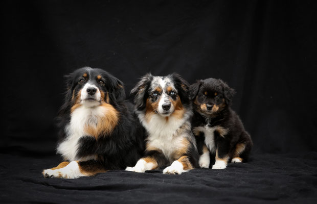 Kiwi mit Mutter und Halbschwester Honey Bee, Foto von www.lu-na-Fotografie.ch