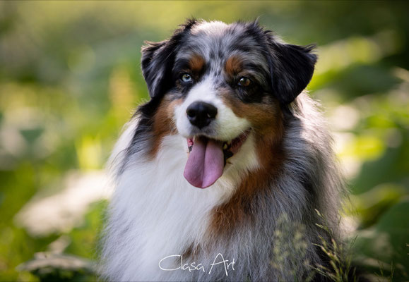Yuma