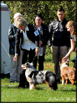 YUMA Show MASCE mit 9 Monaten