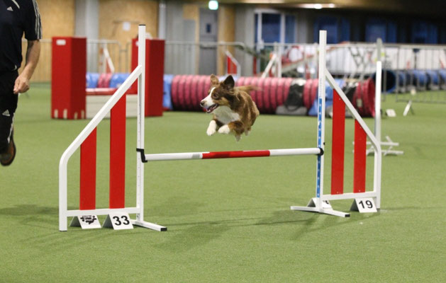 Training 2022