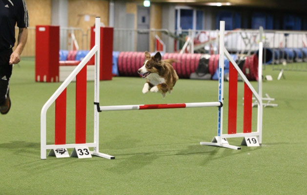 Training 2022