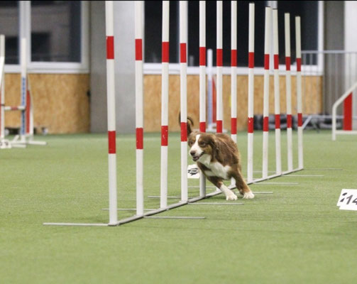 Training 2022