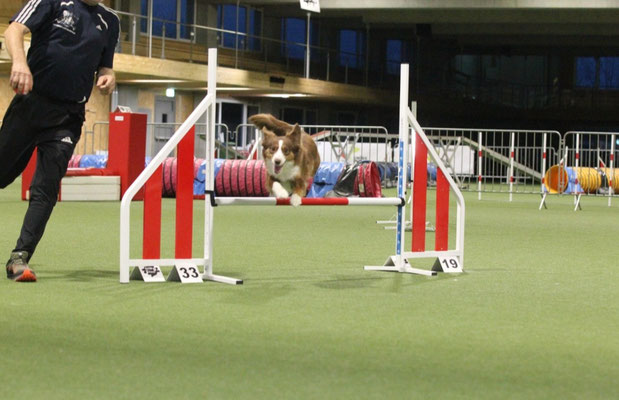 Training 2022