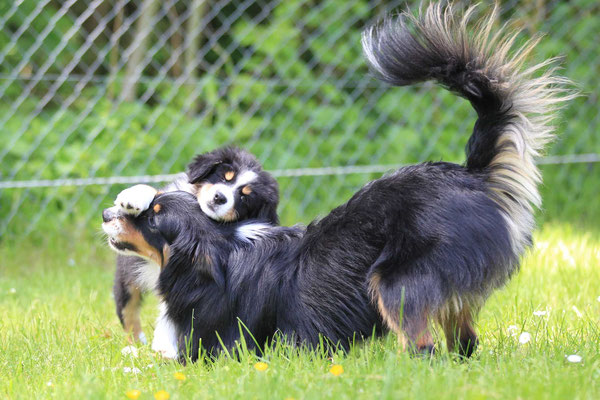 Funny Bailey und Mama Chanel