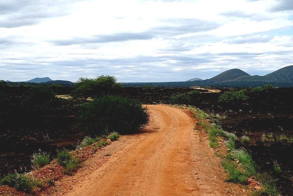 Safari im Tsavo West Nationalpark