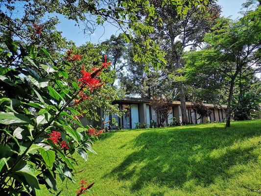 Kaliwa Lodge Tansania Safari