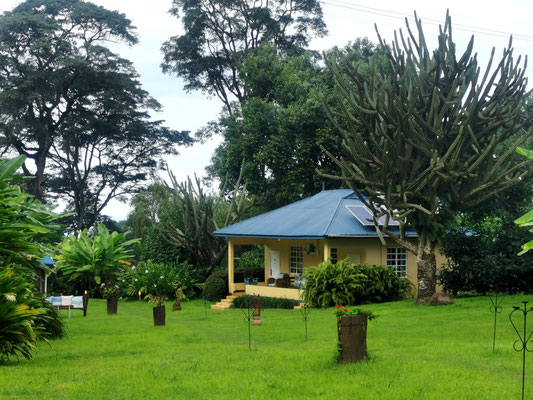 Kilimanjaro Halisi Retreat, Safari in Tansania