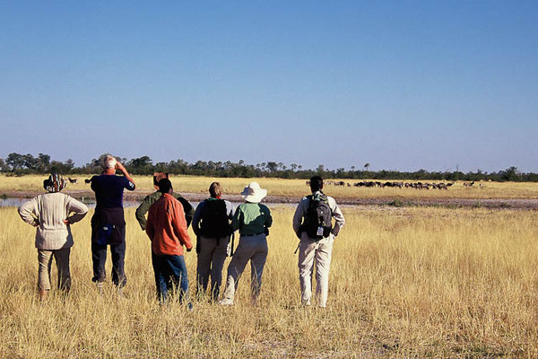 Buschwanderung Tansania Safari