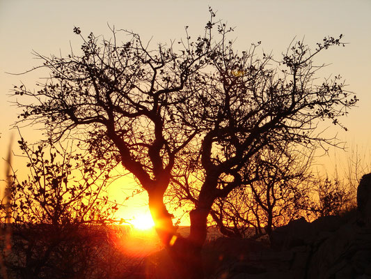 Sonnenuntergang Afrika Reise