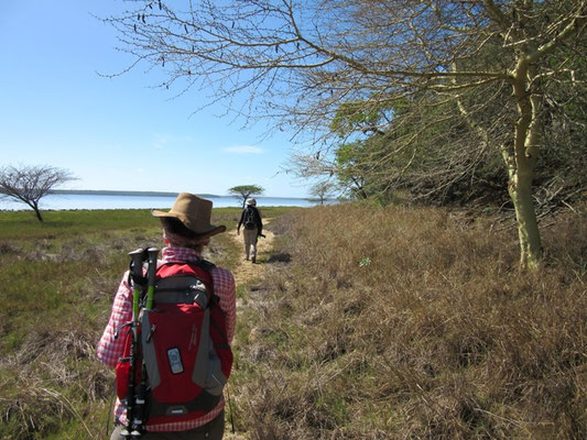 Buschwanderung Afrika Safari
