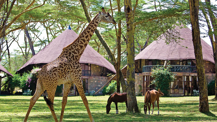 Lake Naivasha Nakuru Go N Joy Africa Afrika Spezialist
