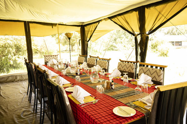 Porini Lion Camp Kenia