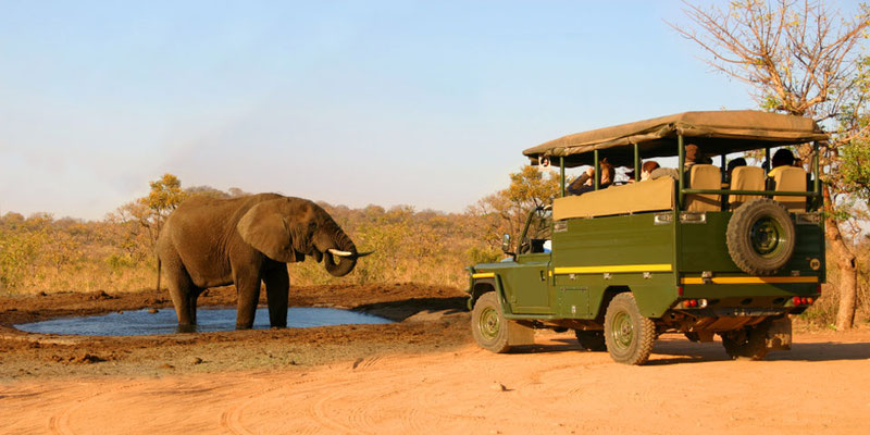 Safari in Afrika