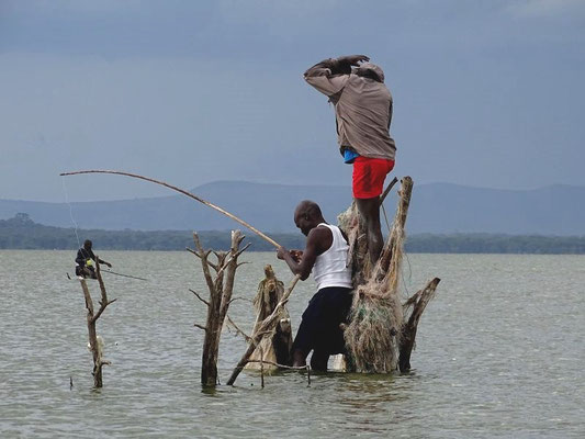 Fischer auf dem Lake Naivasha, Kenia Safari