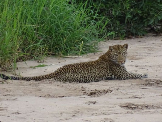 Tarangire Nationalpark