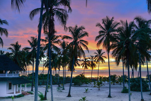 Kijongo Bay Beach Resort, Tansania Safari