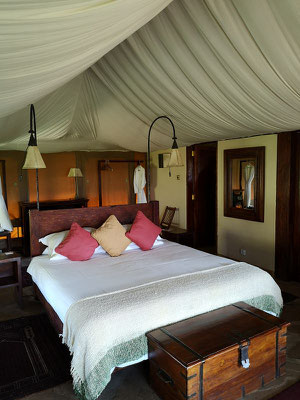 Tortilis Camp