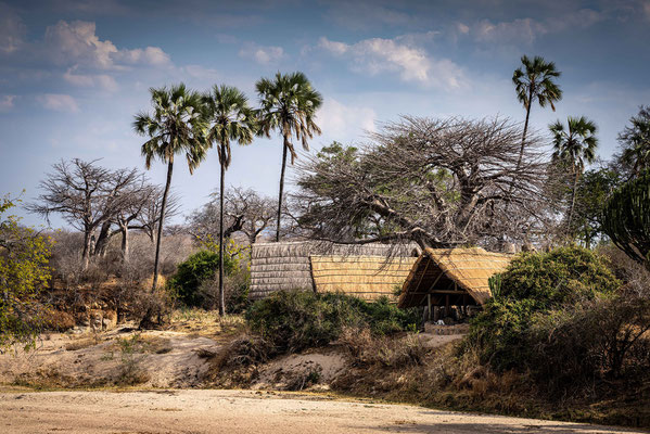 Mwagusi Camp
