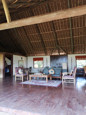 Tortilis Camp