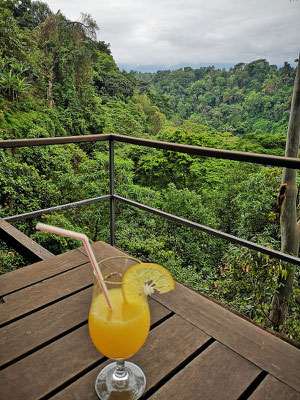 Kaliwa Lodge Tansania Safari