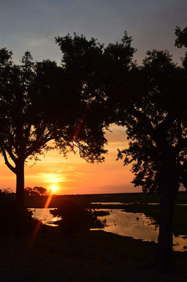 Sonnenuntergang Linyanti Botswana