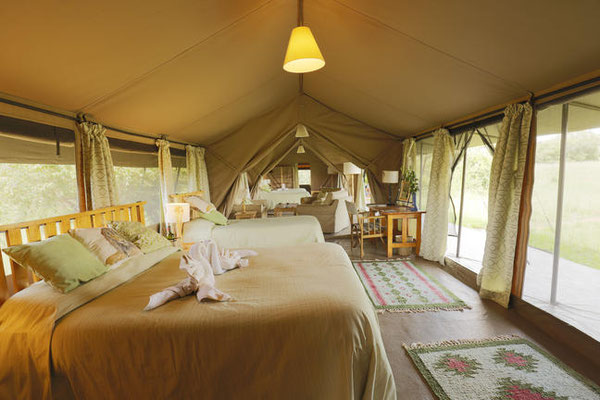 Porini Lion Camp Kenia