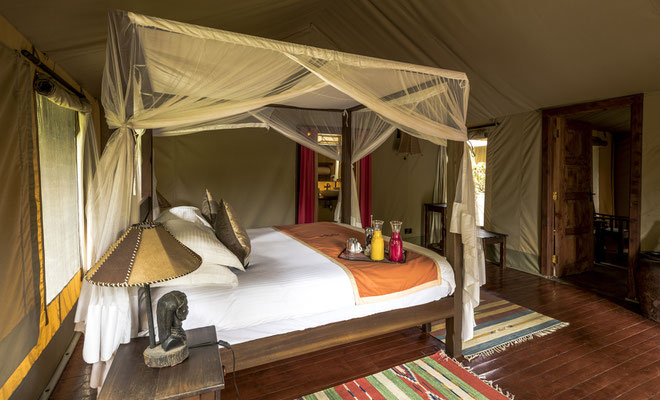 Ashnil Mara Camp, Kenia Safari
