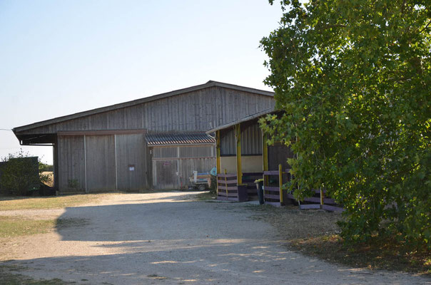 Les stabulations et l'entrée du manège extérieur
