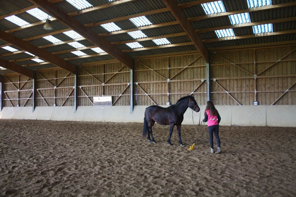 Le manège idéal pour le travail à pied ou l'équitation