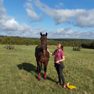 Cours d'équitation éthologique