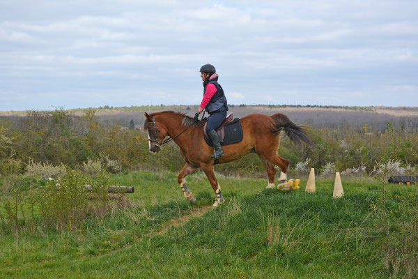Des installations avec terrain en herbe pour cross et PTV