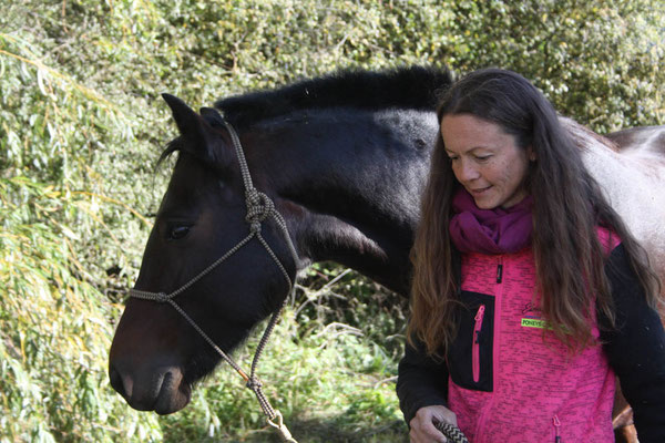 Une pension étudiée pour une relation cheval-cavalier harmonieuse