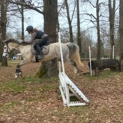 Coaching en concours dressage, CSO, CCE