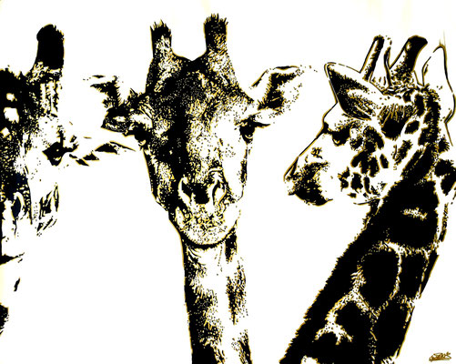 Les girafes 92x73 1/1 2020