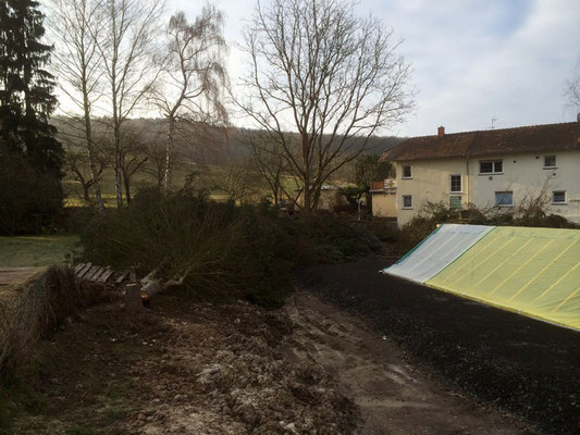 Gartenpflege Franke - Ihr Landschaftsgaertner für Gartenpflege und Baumfaellung in Nidda, Hungen, Lich, Buedingen, Bad Vilbel, Butzbach, Altenstadt, Bad Vilbel und Wölfersheim