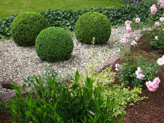 Gartenpflege Franke - Ihr Landschaftsgaertner für Gartenpflege, Hecken- und Baumschnitt in Nidda, Hungen, Lich, Buedingen, Bad Vilbel, Butzbach, Altenstadt, Bad Vilbel und Wölfersheim