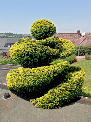 Gartenpflege Franke - Ihr Landschaftsgaertner für Gartenpflege, Hecken- und Baumschnitt in Nidda, Hungen, Lich, Buedingen, Bad Vilbel, Butzbach, Altenstadt, Bad Vilbel und Wölfersheim