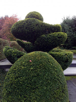 Gartenpflege Franke - Ihr Landschaftsgaertner für Gartenpflege, Hecken- und Baumschnitt in Nidda, Hungen, Lich, Buedingen, Bad Vilbel, Butzbach, Altenstadt, Bad Vilbel und Wölfersheim