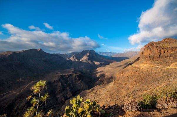 In den Bergen von Gran Canaria