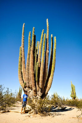 Im Valle de los Gigantes