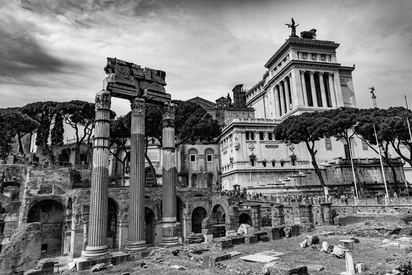 Foro Romano, Rome, 2023