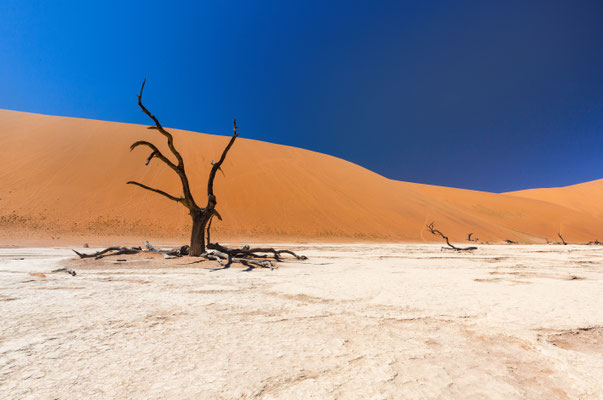 Sossusvlei, Namibia 2018