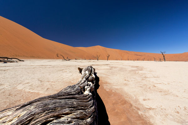 Sossusvlei, Namibia 2018