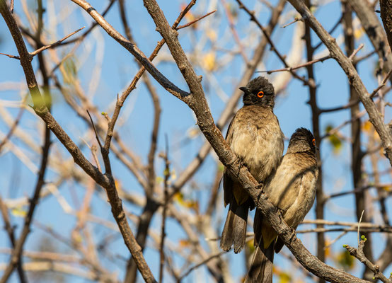 Namibia 2018