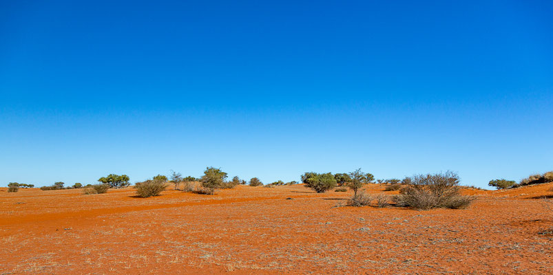 Kalahari, Namibia 2018