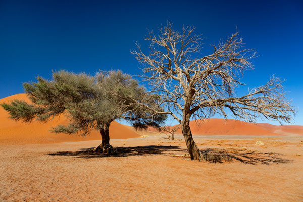 Sossusvlei, Namibia 2018