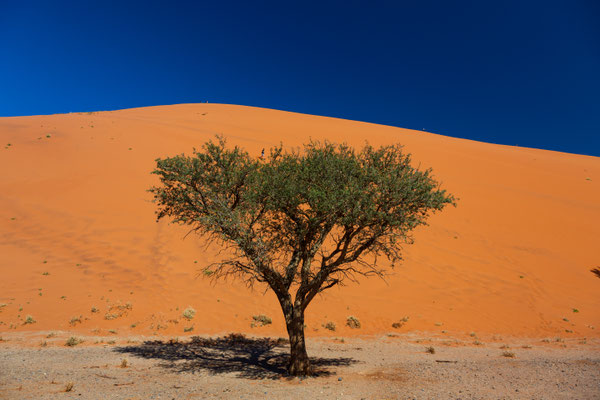 Sossusvlei, Namibia 2018