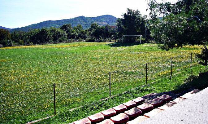 Fußballplatz oder doch Blumenwiese?